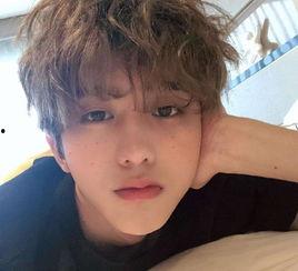 蔡徐坤律师爆料视频合集,揭秘事件真相与幕后黑手